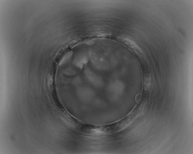 X0000113600365200909251201