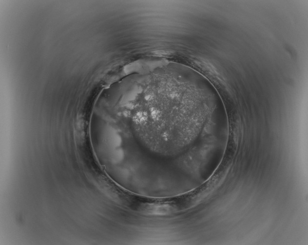 X0000113600366200909251201