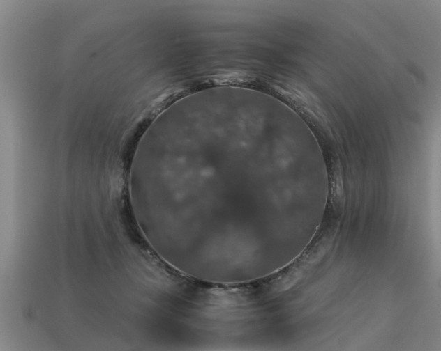 X0000113600367200909251201