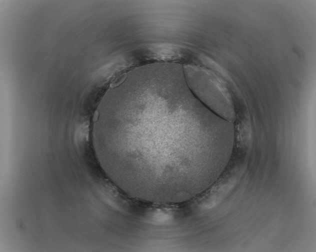 X0000113600368200909251201