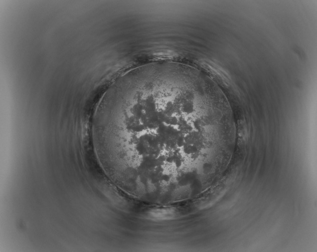 X0000113600369200909251201