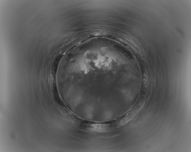 X0000113600371200909251201