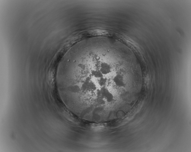 X0000113600373200909251201