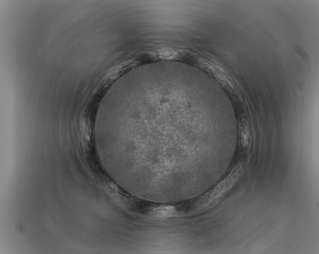 X0000113600374200909251201