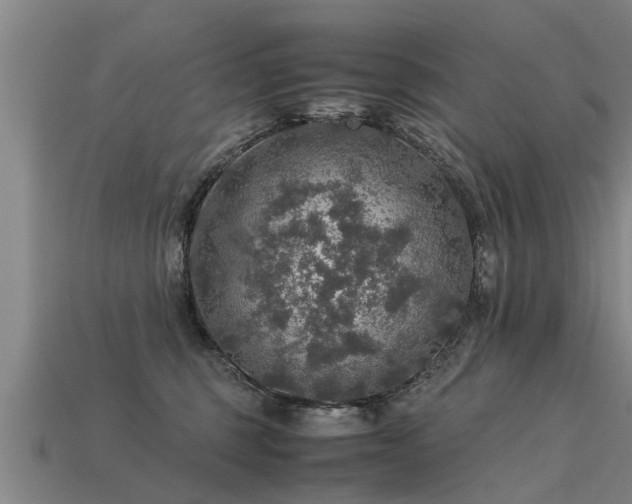 X0000113600375200909251201