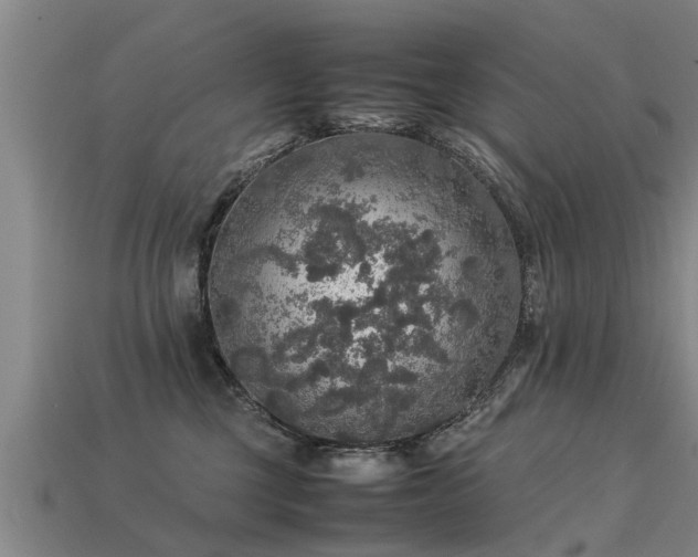 X0000113600377200909251201