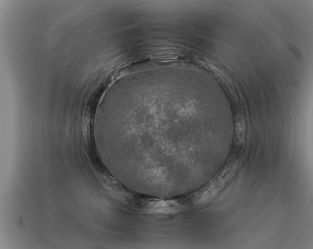 X0000113600379200909251201