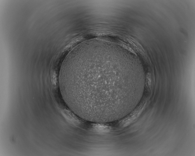 X0000113600380200909251201