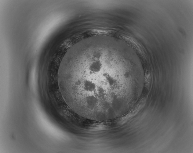 X0000113600381200909251201