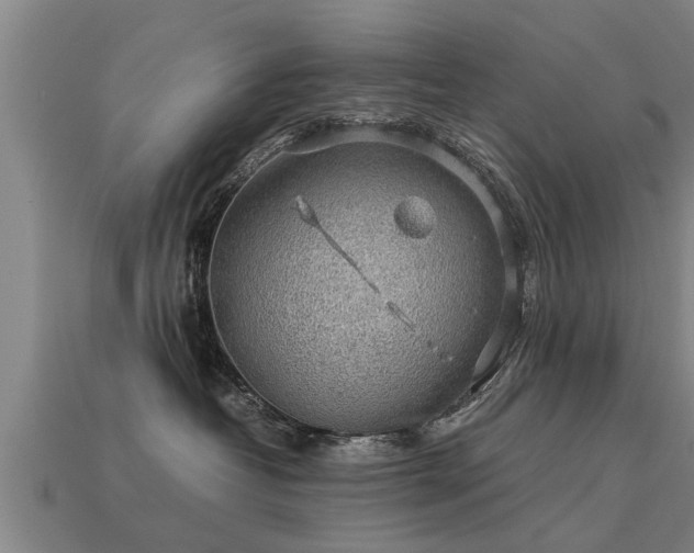 X0000113600382200909251201