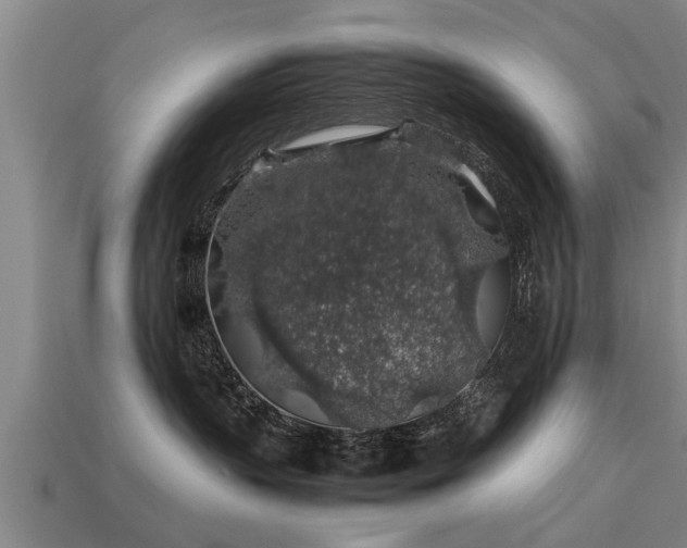 X0000113600383200909251201