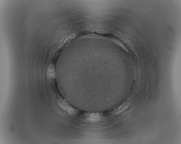 X0000113600384200909251201