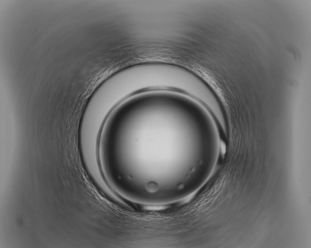 X0000113600385200909251200