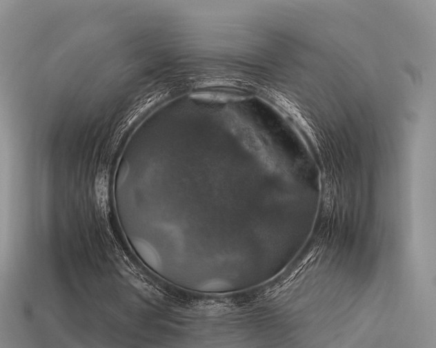 X0000113600386200909251200