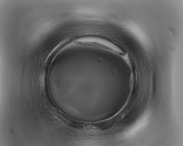 X0000113600387200909251200