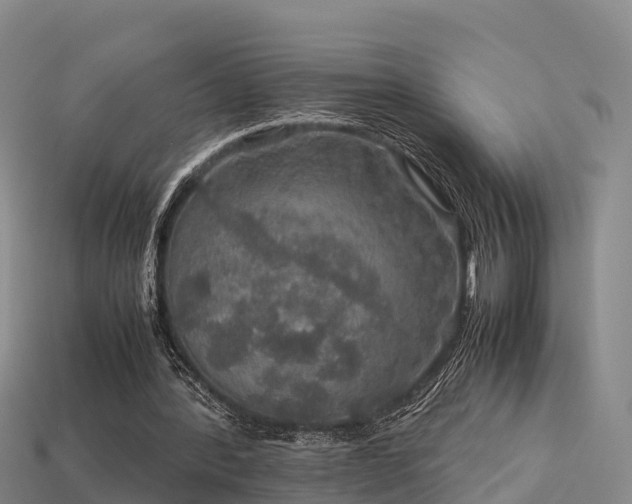 X0000113600388200909251200