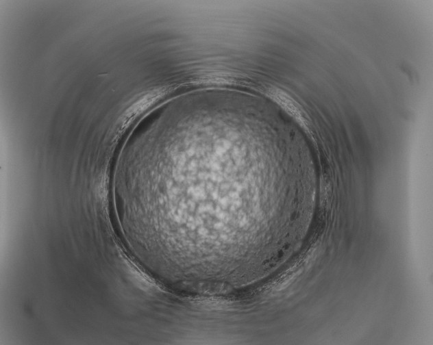 X0000113600389200909251200