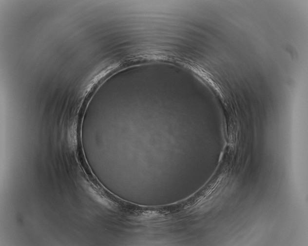 X0000113600390200909251200