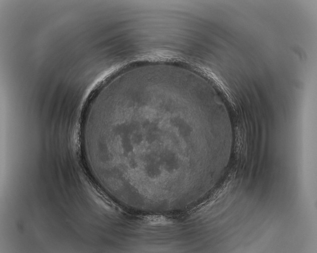 X0000113600392200909251200