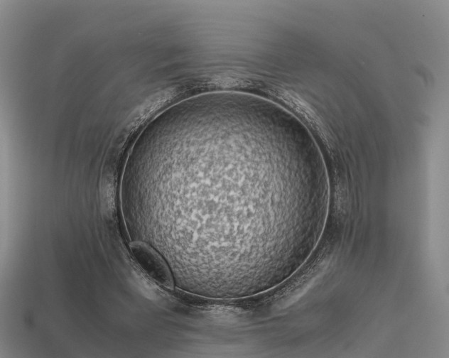 X0000113600393200909251200