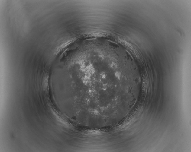 X0000113600394200909251200