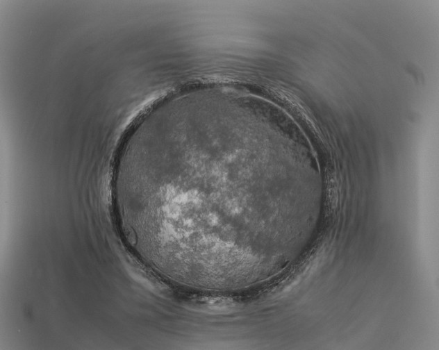 X0000113600395200909251200