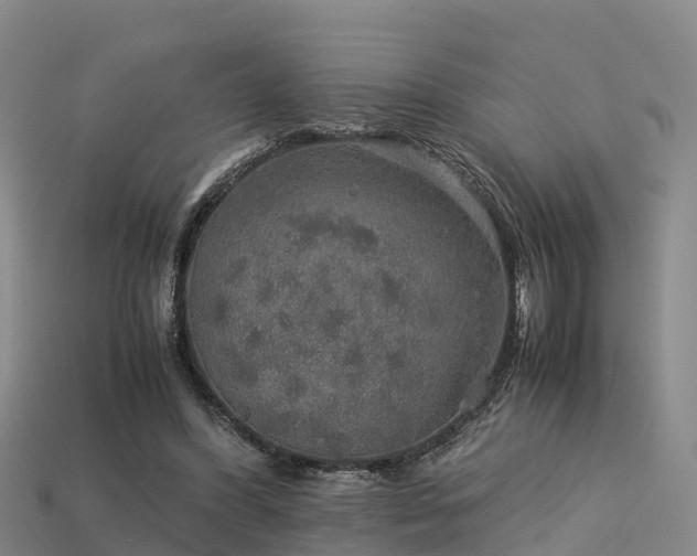 X0000113600396200909251200