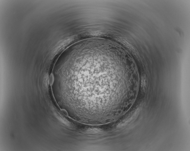 X0000113600397200909251200