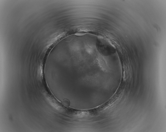 X0000113600398200909251200