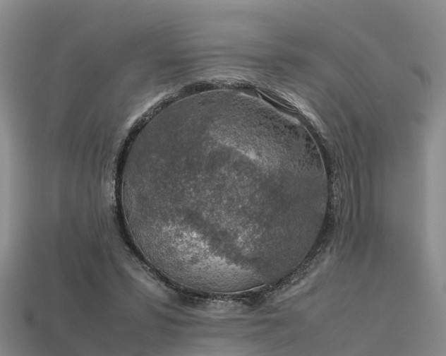 X0000113600399200909251200