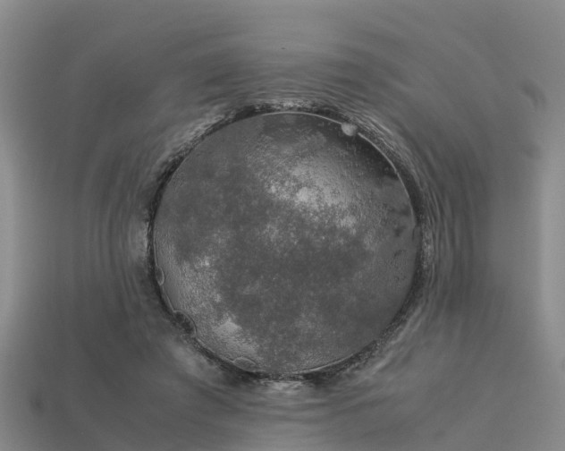 X0000113600401200909251200