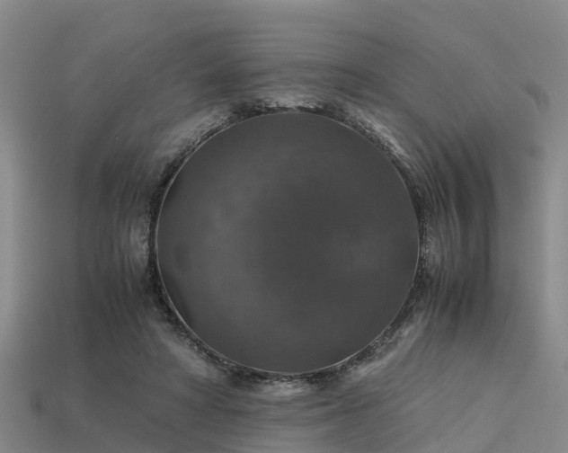 X0000113600402200909251200