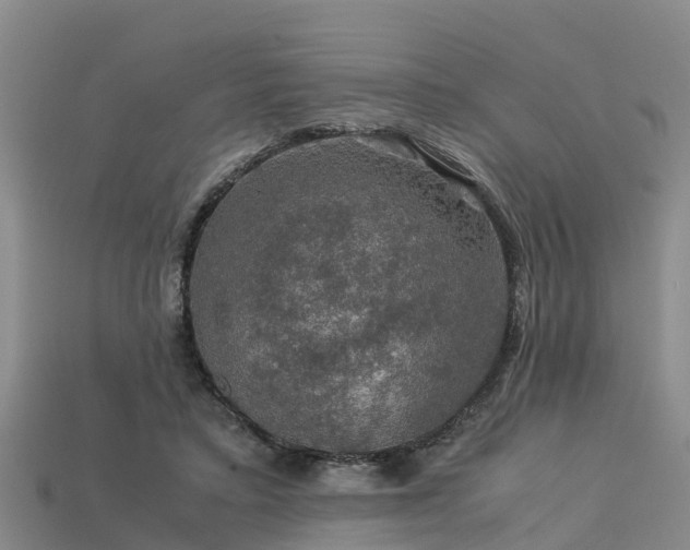 X0000113600403200909251200