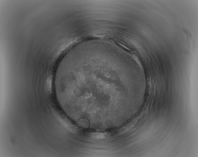 X0000113600404200909251200