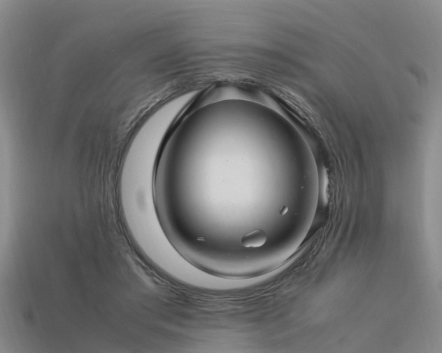 X0000113600405200909251200