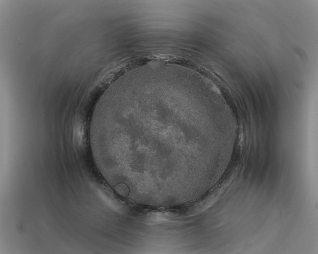 X0000113600408200909251200