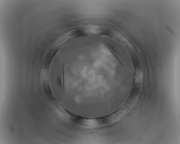 X0000113600409200909251200