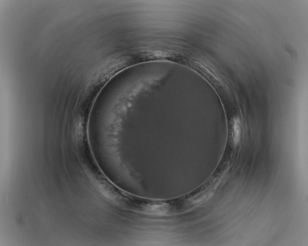 X0000113600410200909251200