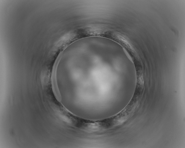 X0000113600411200909251200