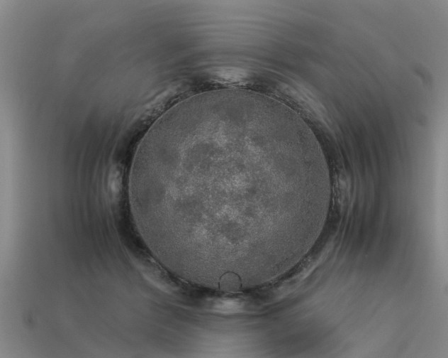 X0000113600412200909251200