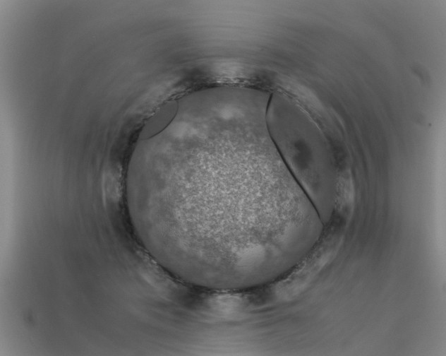 X0000113600413200909251200