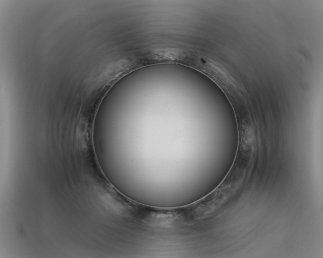 X0000113600414200909251200