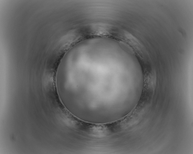 X0000113600415200909251200