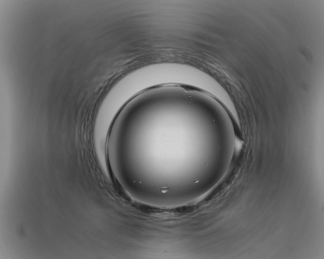 X0000113600417200909251200