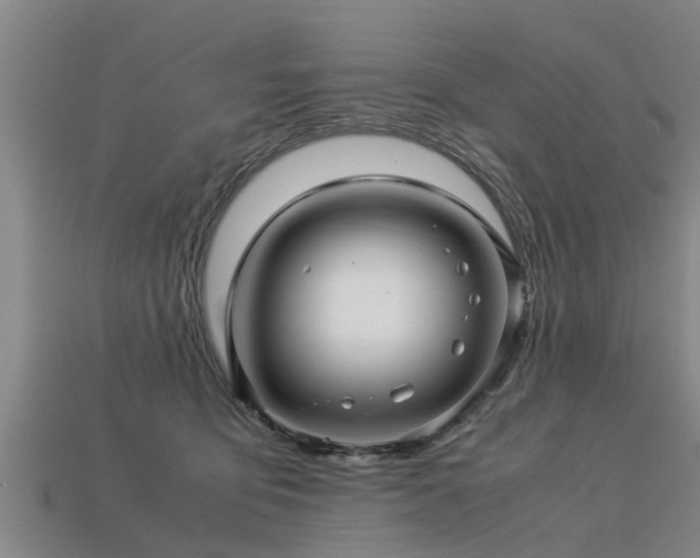 X0000113600419200909251200