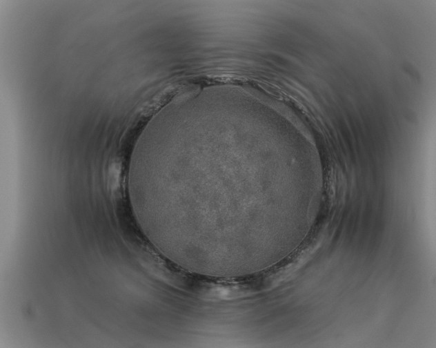 X0000113600420200909251200