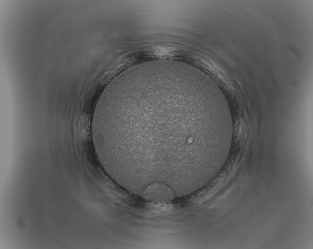 X0000113600421200909251200