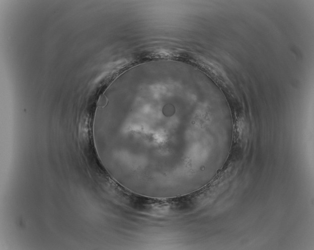 X0000113600423200909251200