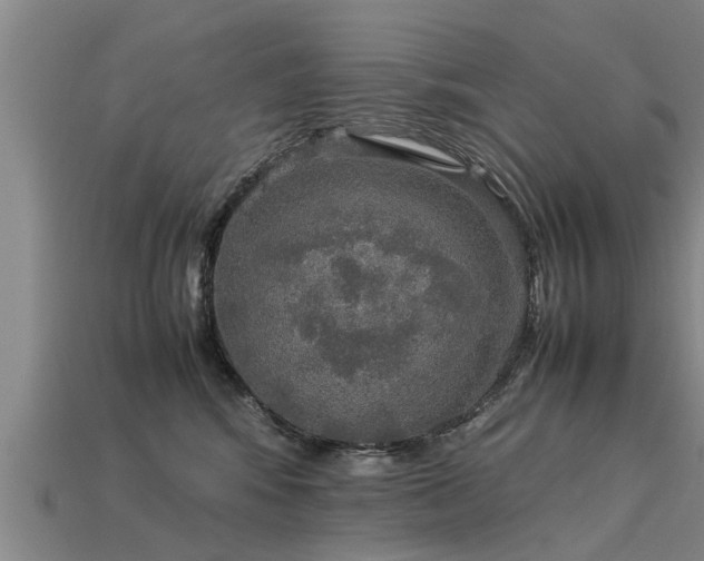 X0000113600424200909251200