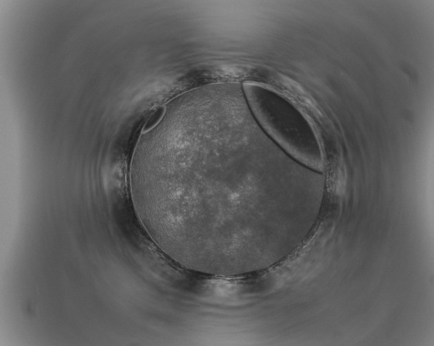 X0000113600425200909251200